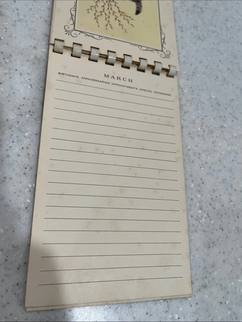 Vtg 1969 Marjorie M. Cooper Kitten Kalendar MCM Calendar by Gibson HTF **READ**